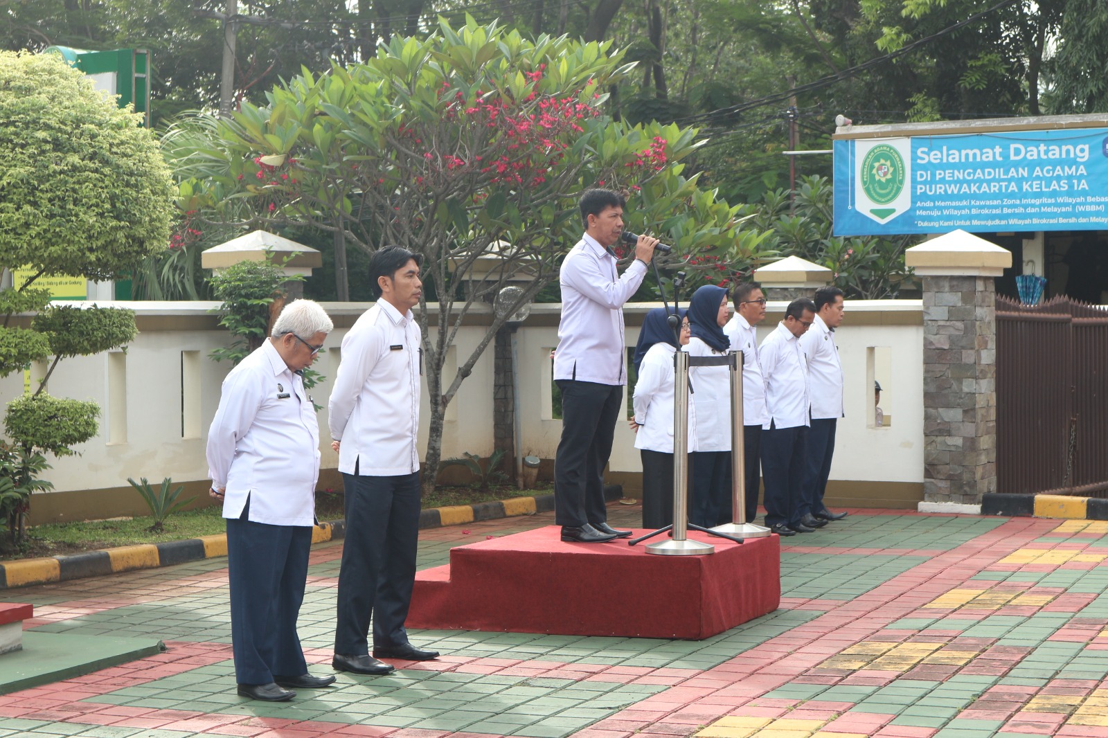 apelsenin2