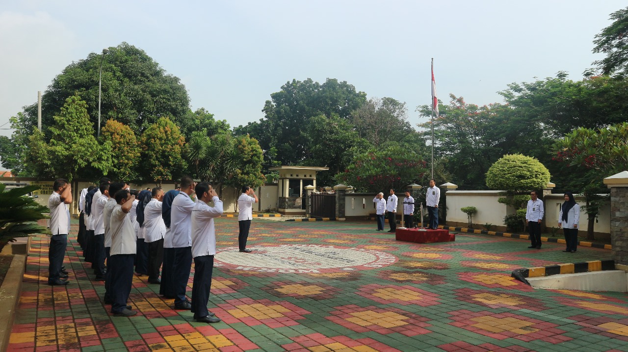 apelsenin23